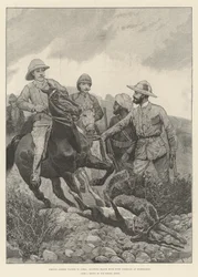 Prinz Albert Victor in Indien, Jagd auf Schwarzwild mit Gepard in Hyderabad